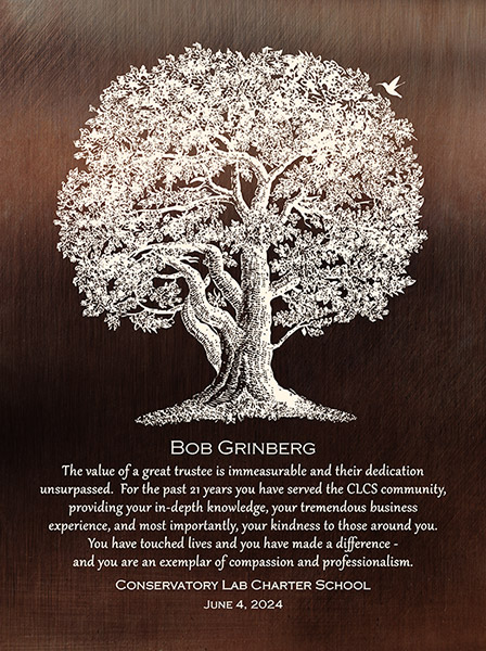 Custom Retirement Plaques for School Staff – Custom Art Print for Andres B