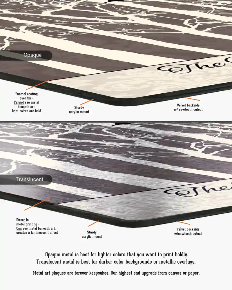 lt-1193_edge
