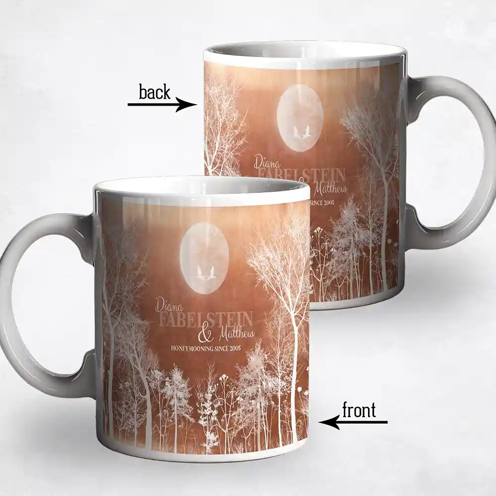 lt-1349_mug_fb