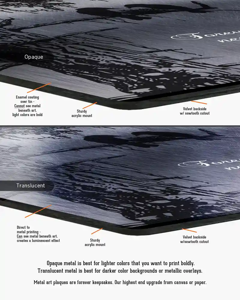 lt-1356_edge
