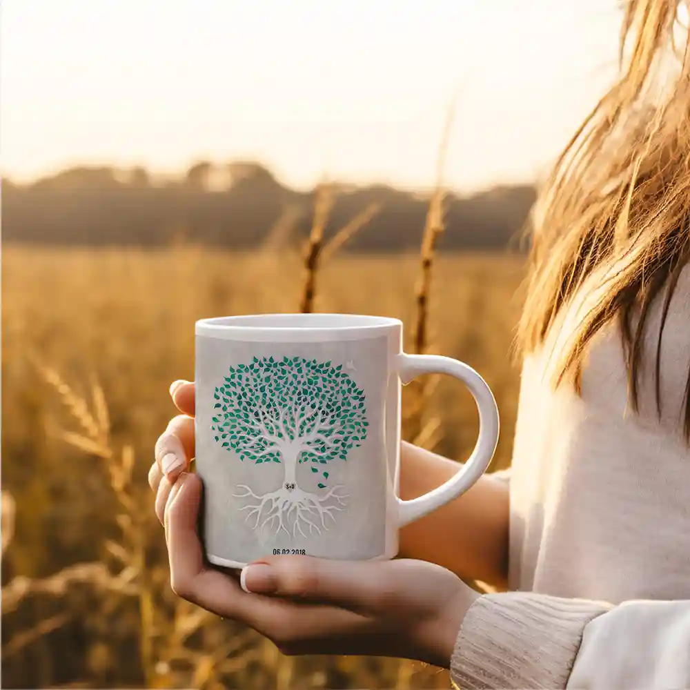 lt-1528_mug_field