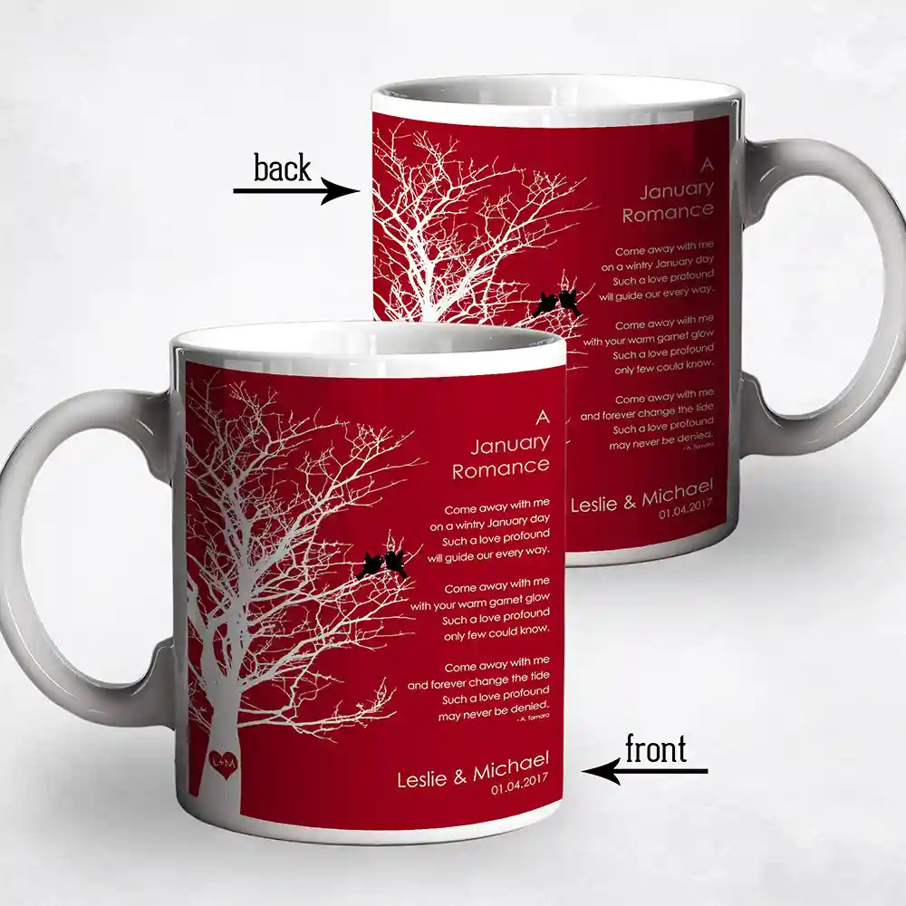 lt-1701_mug_fb