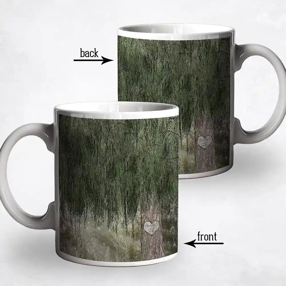 lt-2173_mug_fb