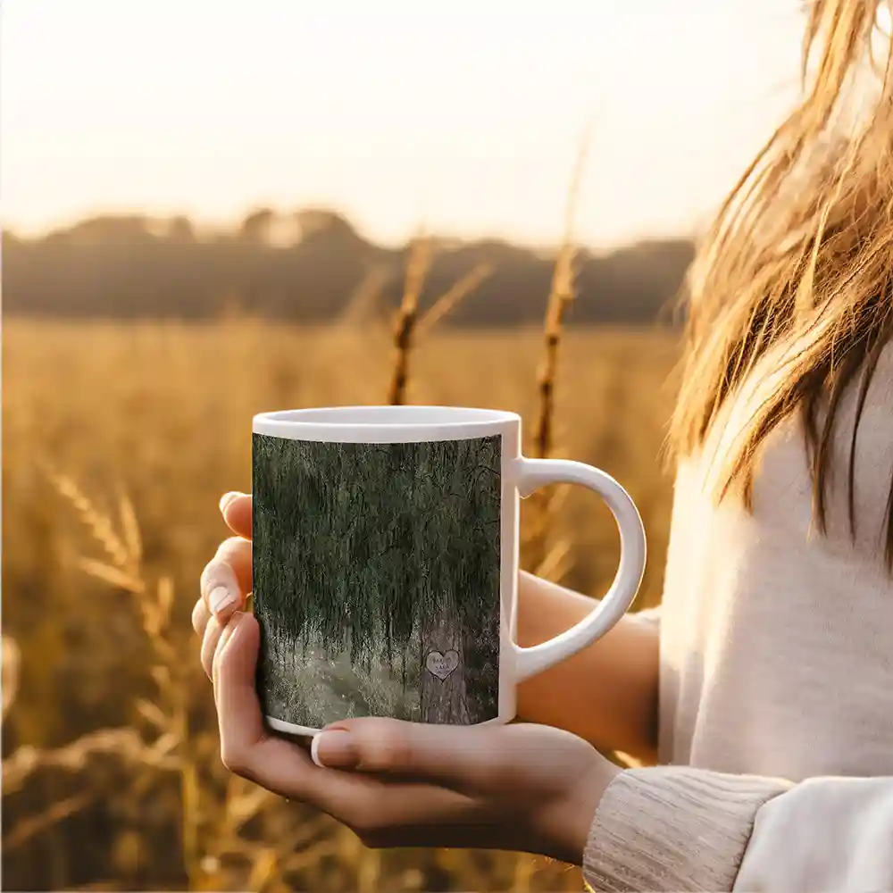 lt-2173_mug_field