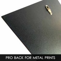 Upgrade Paper Print to Unframed Opaque Metal Print