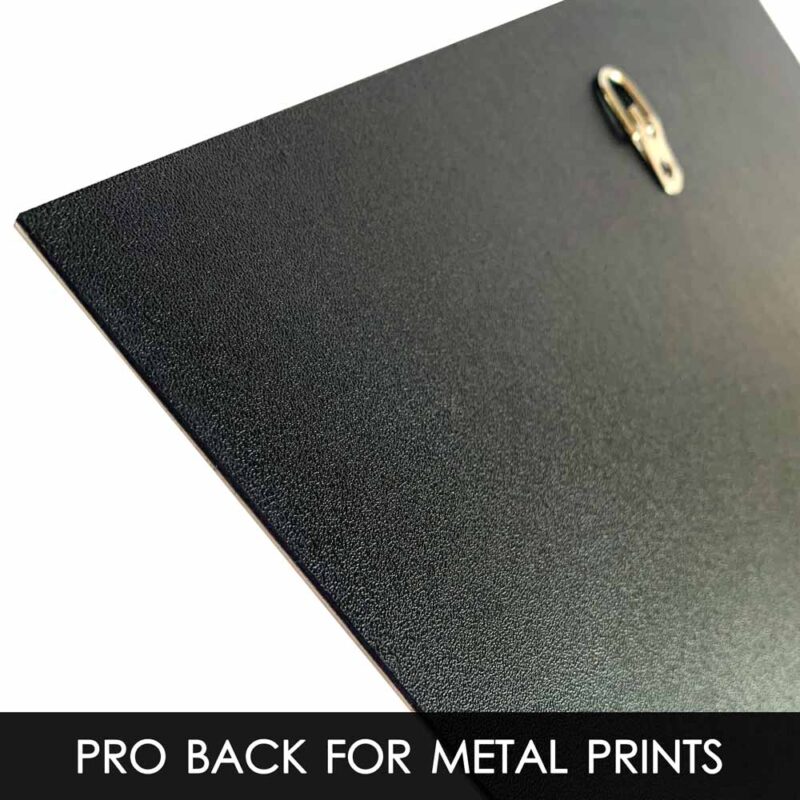 Pro Backing Options For Metal Prints