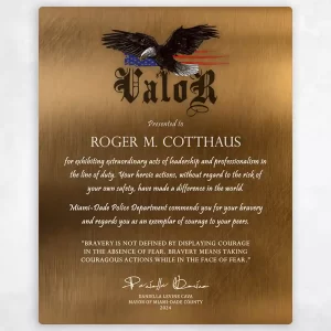 Bronze Award of Valor for Bravery Recognition Wall Plaque Gift for Police LTC-2129