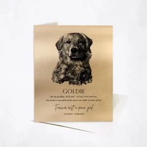 Gold Loss of Dog Memorial with Etched Photo Memorial Card Gift for Family C-2138