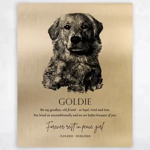 Gold Loss of Dog Memorial with Etched Photo Memorial Wall Plaque Gift for Family LTC-2138