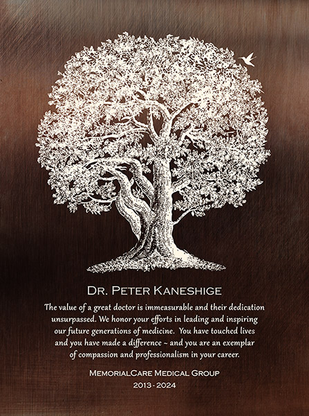 Read more about the article Personalized Doctor Retirement Plaque Gift from Medical Group – Custom Art Print for Karen A