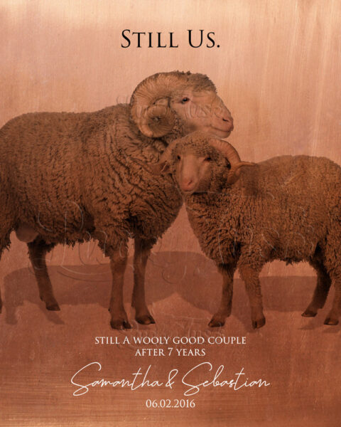 7 Year Wool Copper Anniversary, Sheep Love, Still Us, Wooly Good Couple #1559