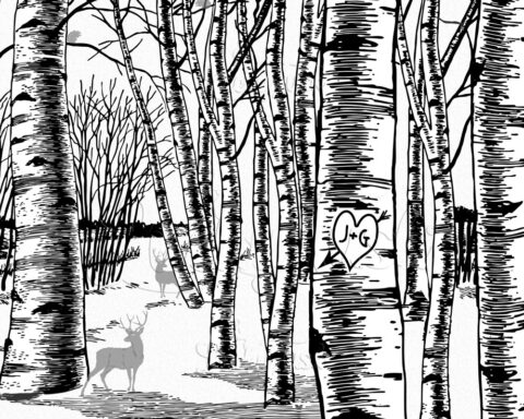 Winter Birch Tree Forest, 10 Year Anniversary, Cotton Anniversary, Initials in Tree With Carved Heart, #1802