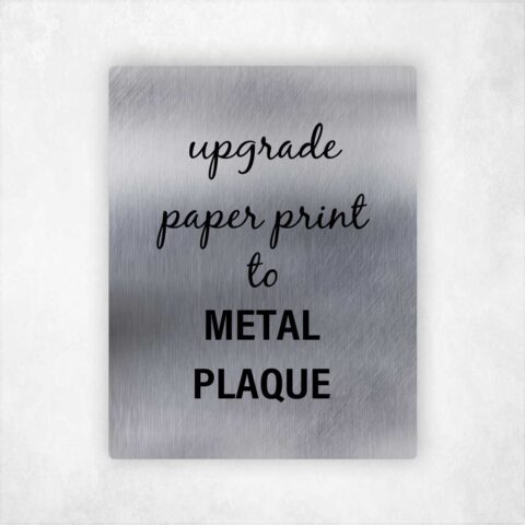 Upgrade 16×20 Paper Print to 14×18 Metal Plaque